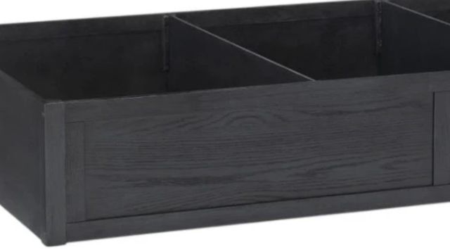 Legacy Kids Teen Flatiron Midnight Trundle Storage Drawer-1