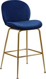 Navy-Gold