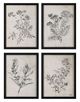 Renwil® Basset 2-Piece Black Wall Print Set-0