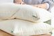 Avocado Organic Waterproof Queen Pillow Protector-1
