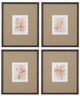 Bassett Mirror Parchment Coral lI Framed Print-2