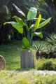A & B Home Distressed Green 19" Cylinder Cement Planter-5