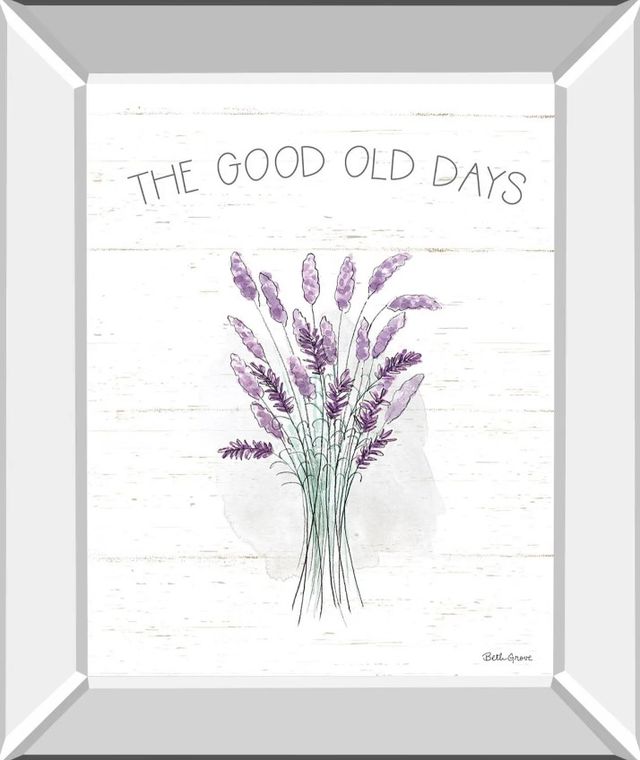 Classy Art Farmhouse Cotton VII by Beth Grove Mirror Framed Wall Art-0