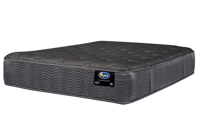 Agren Factory Direct Bridgton Wrapped Coil Plush Tight Top King Flippable Mattress-0