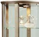 Pulaski™ PFC Platinum Glass Door Curio-1