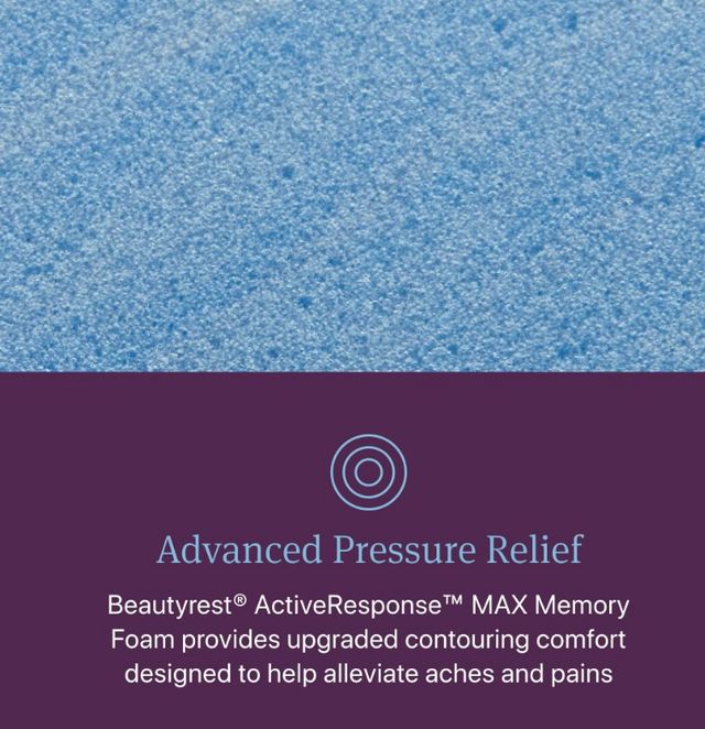 Beautyrest® World Class Hybrid™ Level Three 13" Firm Smooth Top Twin XL Mattress-5