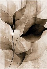 Brown-White