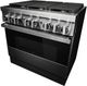 JennAir® NOIR™ 36" Stainless Steel Pro Style Dual Fuel Range-4