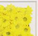 Stylecraft Epoxy Blooms III Wall Art-1