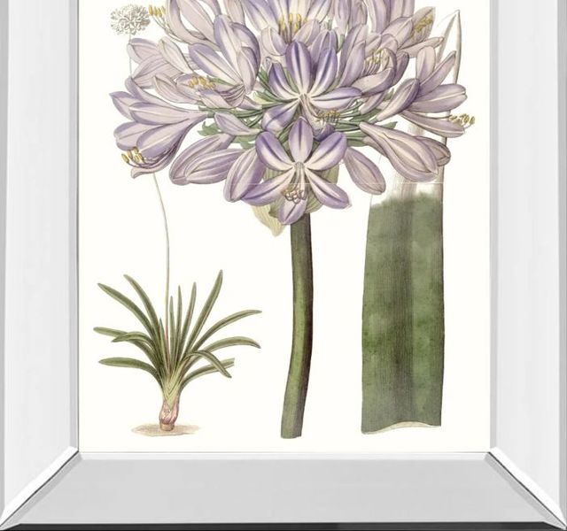 Classy Art Lavender Beauties VI by Edwards Mirror Framed Wall Art-1