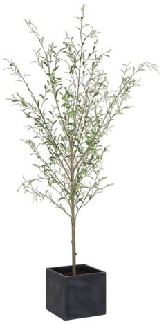 Uttermost® Abundance Charcoal/Green Potted Olive
