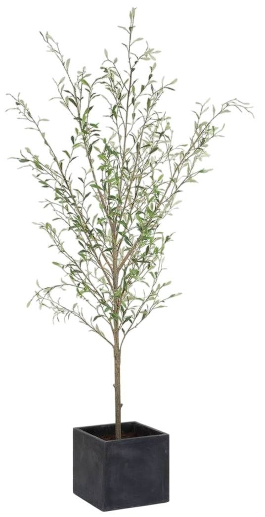 Uttermost® Abundance Charcoal/Green Potted Olive-0