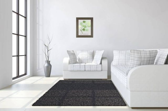 Classy Art Pilea Peperomioides by Katrien Soeffers Wall Art-3