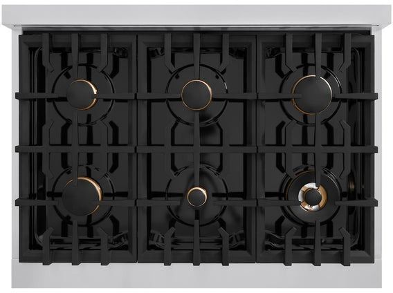ZLINE Classic Series Autograph Edition 36" Stainless Steel Pro Style Dual Fuel Range with Black Matte Door and Polished Gold Accents-1