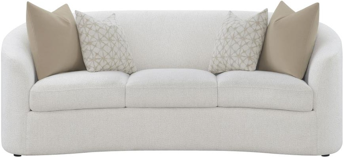 Coaster Rainn Sofa - Thumbnail 4