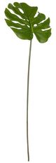 A & B Home Green Monstera Leaf-0