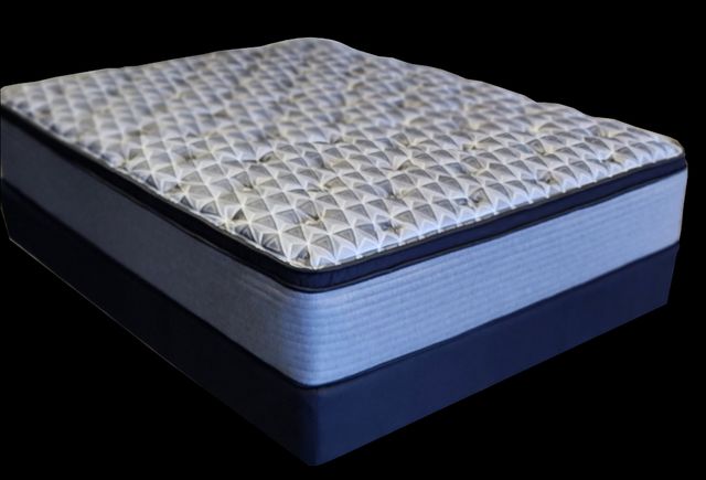 Spring Air Ebony Eurotop Queen Mattress-0