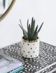 A & B Home Gold Navya Dots Planter-5