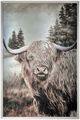 Classy Living Contemplative Highland Cow Wall Art-0