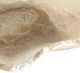 A & B Home Tomas Brown/White Hand Carved Striated Onyx Bowl-1