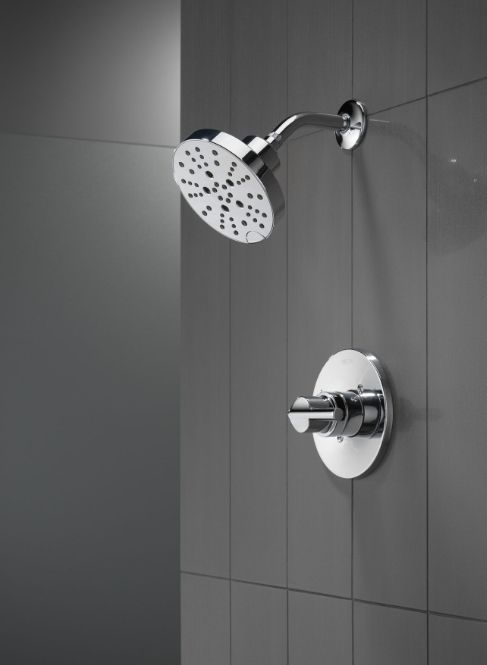 Delta Nicoli® Monitor® 14 Series H2Okinetic® Chrome Shower -1