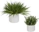 Uttermost® Edgewood 2-Piece Green/White Greenery Set-2