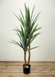Le Present Yucca Green 43.5" Faux Botanical-2