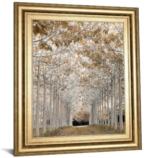Classy Art Gold/White by Assaf Frank Wall Art-1