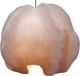 Dovetail Furniture Juniperly White Small Pendant Light-1