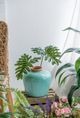 A & B Home Green 10" Vase-4