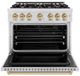 ZLINE Classic Autograph Edition 36" Stainless Steel Pro Style Gas Range with Champagne Bronze Accents-1