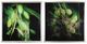 A & B Home 2-Piece Green Botanical Photography Wall Art Set-0