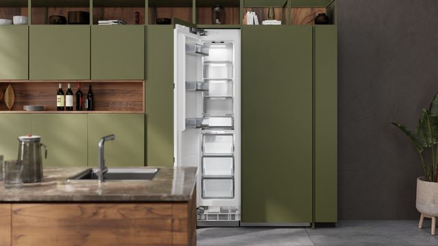 Elica Dolomite 18" 8.6 Cu. Ft. Panel Ready Built-In Column Freezer-3