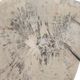 Uttermost® Teo 3-Piece Bleached Wall Decor Set-5