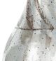 A & B Home Antique Silver 12" Glass Jar-3