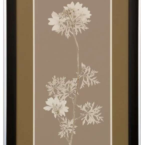 StyleCraft Natural Study Dark Brown/Taupe Wall Art-1