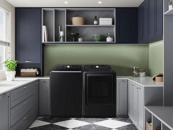 Samsung Brushed Black Laundry Pair