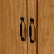Sauder® Select Highland Oak Storage Cabinet-3