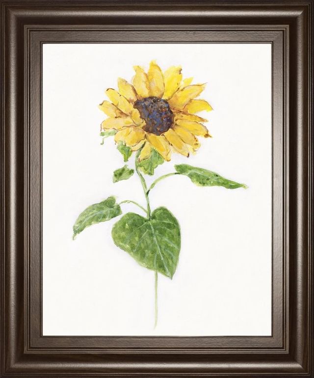 Classy Art Sunflower I by Sally Swatland Framed Wall Art-0