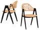 VIG Furniture Modrest Gayle 2-Piece Dining Chair Set-1