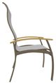 Telescope Casual Belle Isle Abalone/Beachwood Aluminum/Fabric Outdoor Sling Supreme Arm Chair with Teak Rustic Polymer Arm Accent-2