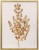 StyleCraft Pressed Foliage l Wall Art-0