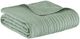 Olliix by Madison Park Tuscany Seafoam Oversized Quilted Throw with Scalloped Edges-1