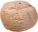 CordaRoy's® Original Tan Faux Fur Queen Bean Bag Chair-0