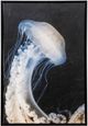 Stylecraft Floating Queen I Manufactured Canvas-0