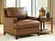 Signature Design by Ashley® Saonara Amber Chair-1