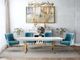 TOV Furniture Beatrix Sea Blue Side Chair-4