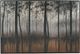 Signature Design by Ashley® Philyra Wall Art-0