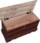 Coaster® Paula Cedar Warm Brown Rectangular Chest-2