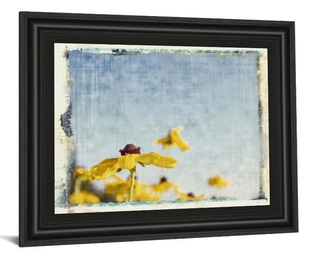 Classy Art Blackeyed Susan I by Meghan Mcsweeney Wall Art-1